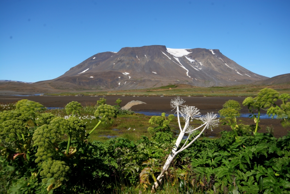 Þverbrekknarmuli